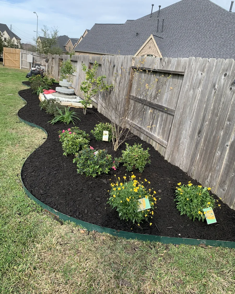 A curved, freshly mulched bed of flowering colour along a wood fence