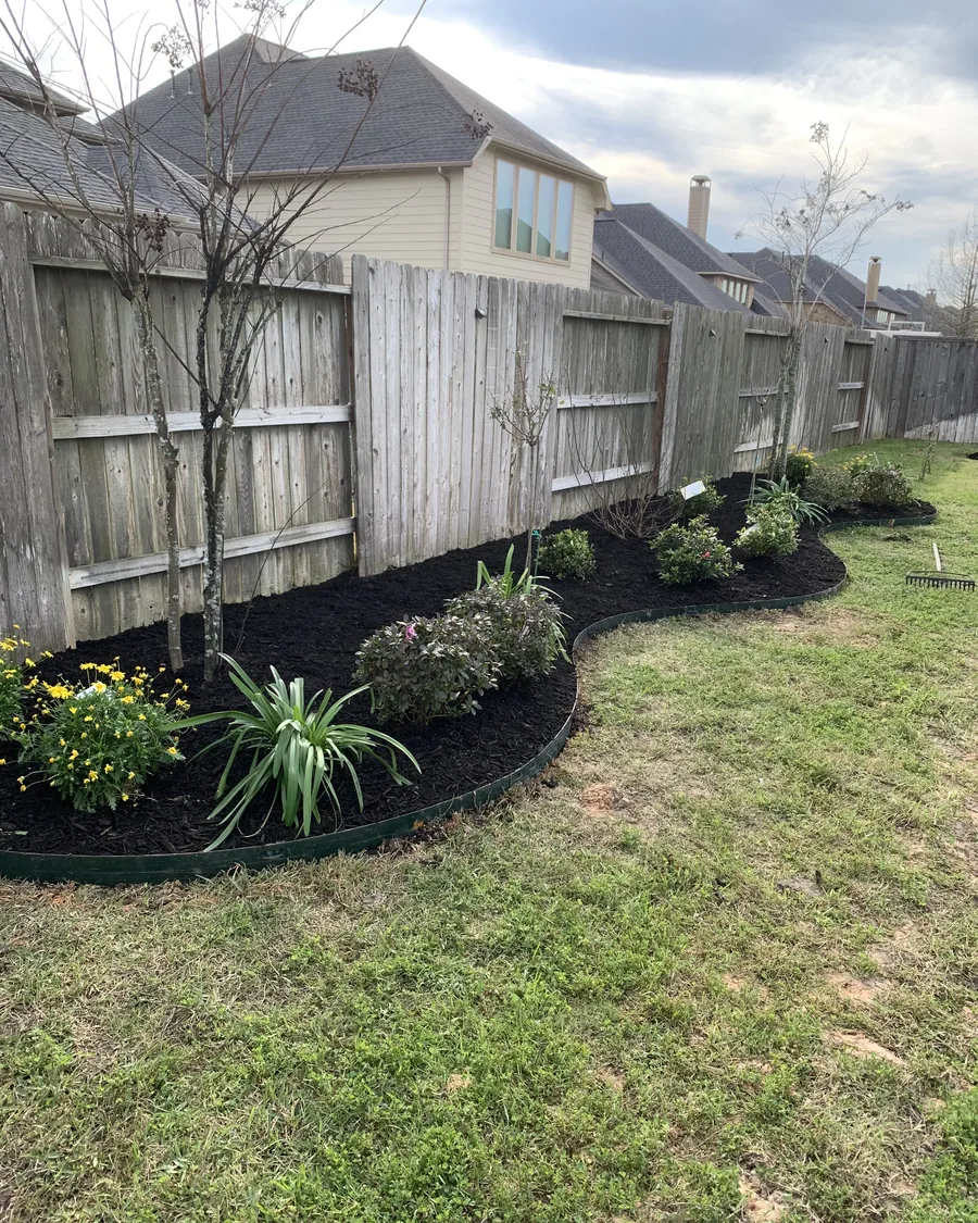 New planting bed with flowering colour and grasses set along a fence line