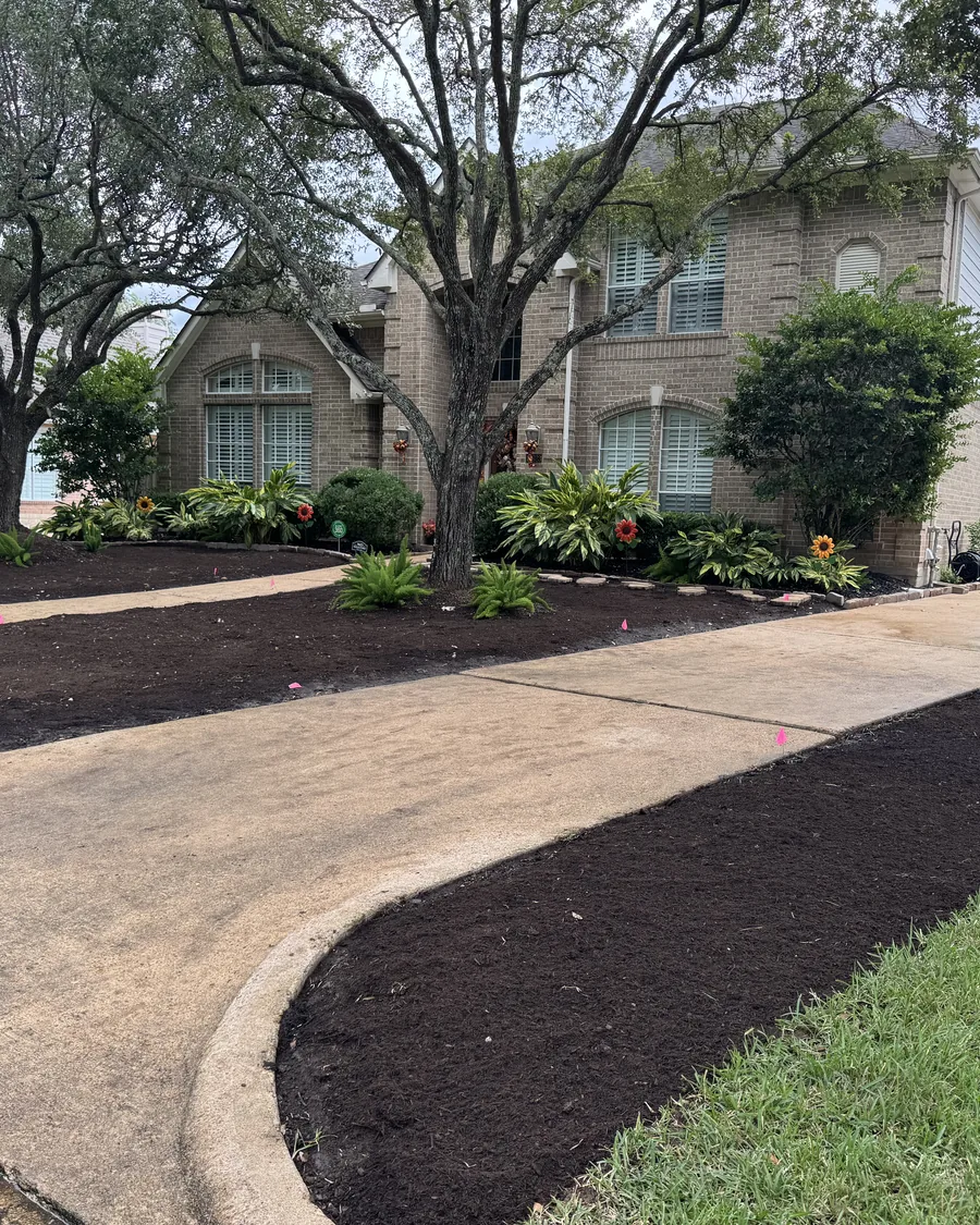 Wide front landscape with new mulched beds running the length of the drive