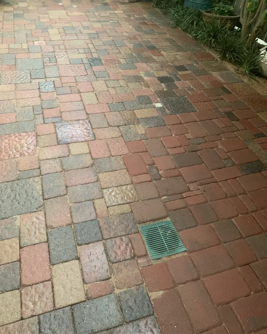 Multi-colour brick paver walkway with a drain set into it