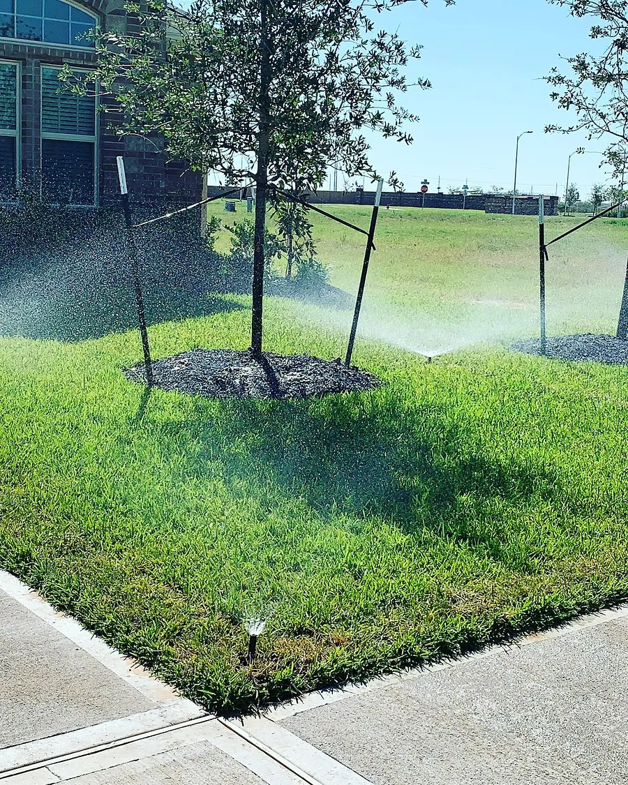 Sprinkler head watering a green lawn