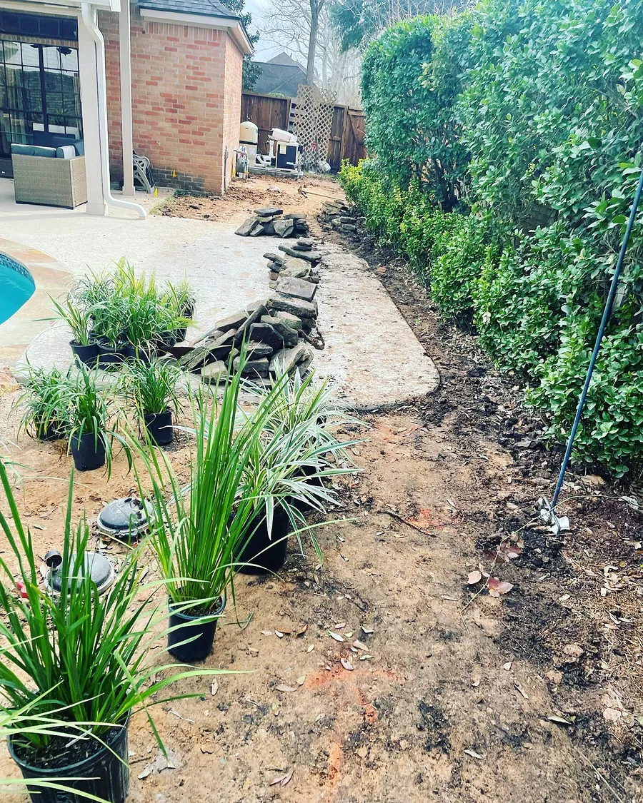 Tropical planting with palms and a rock feature