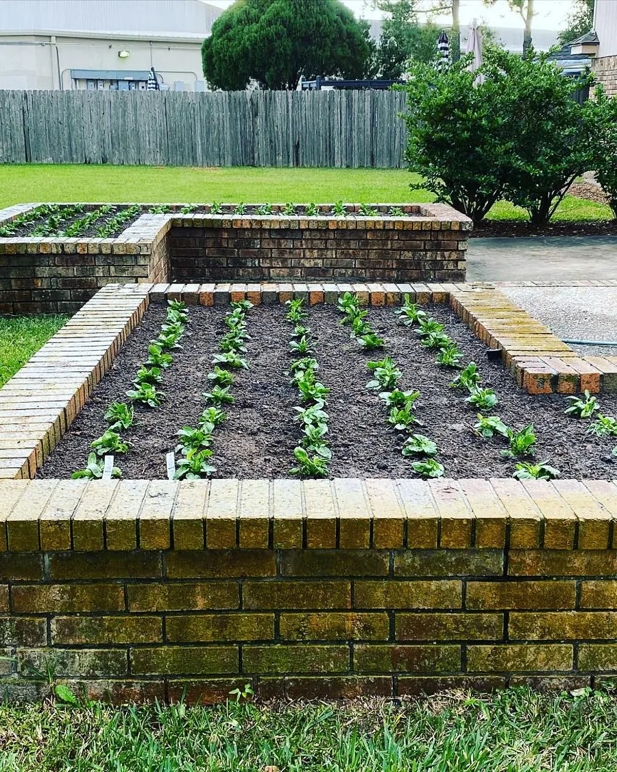 Raised brick planter filled with new plants