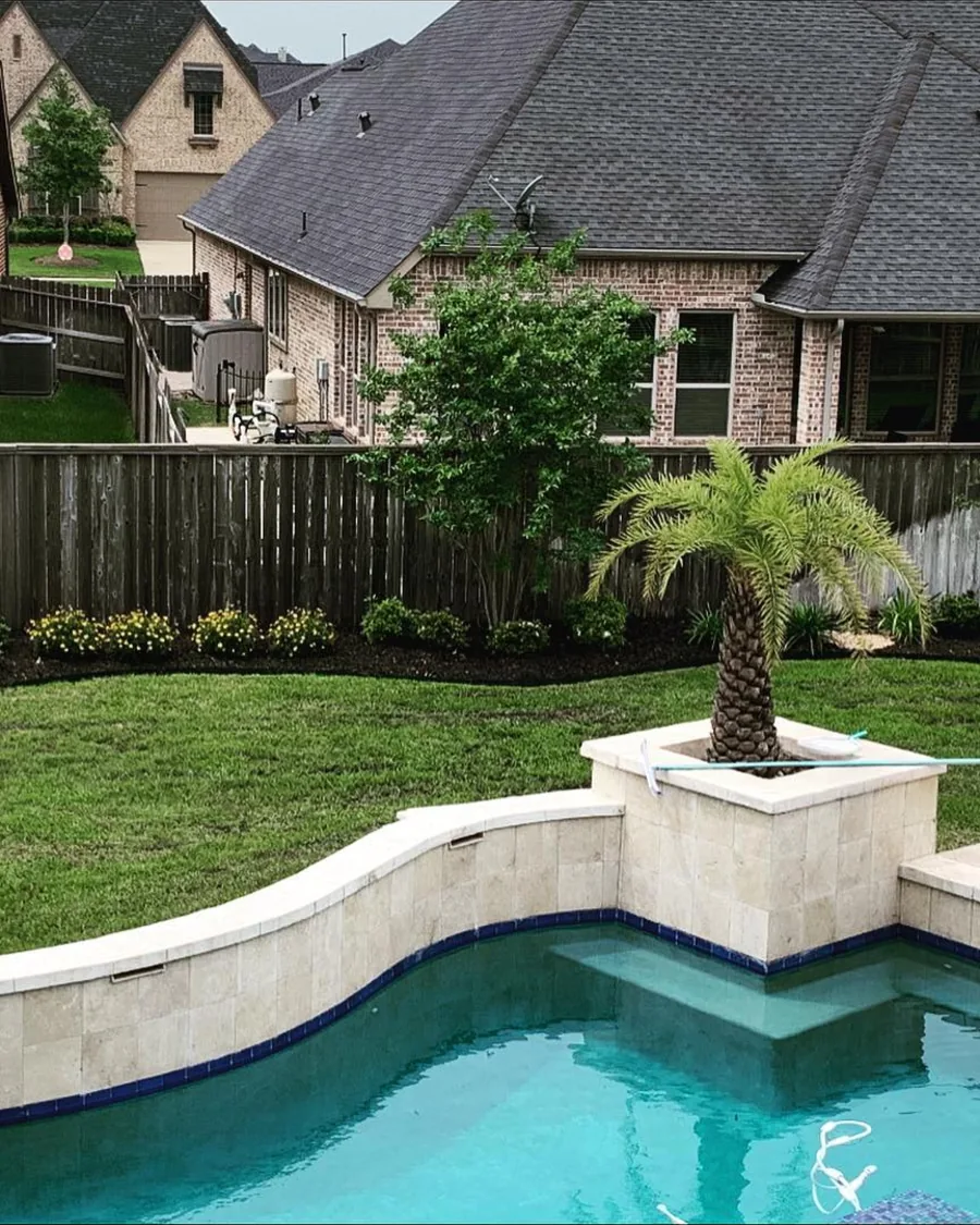 Poolside planter with a palm and fresh beds along the fence line